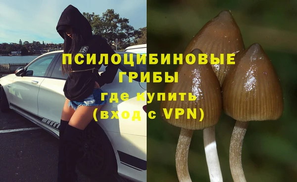 мяу мяу мука Балахна
