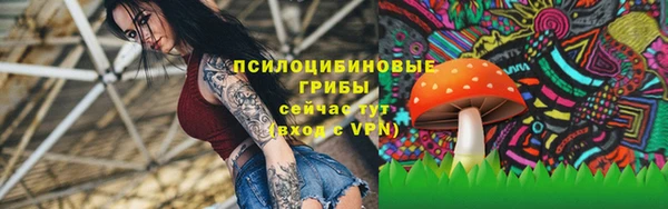 мяу мяу мука Балахна
