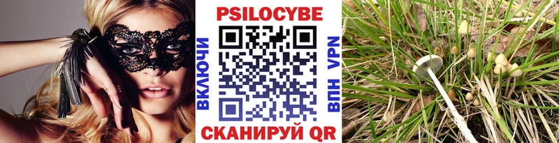 Псилоцибиновые грибы Cubensis  KRAKEN tor  Ворсма 